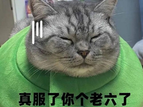 服了你个老六是什么梗-服了你个老六梗意思介绍