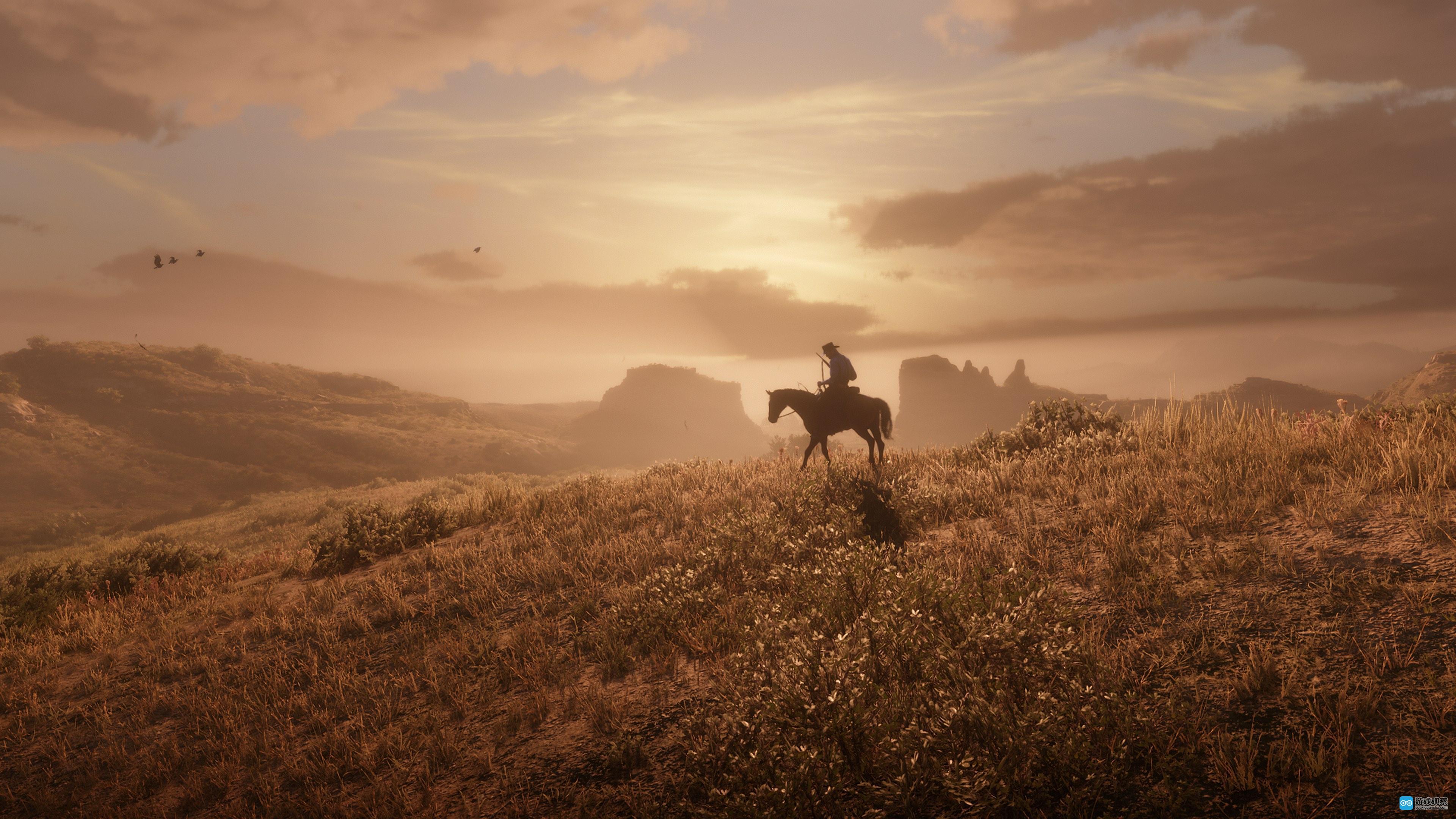 荒野大镖客救赎攻略合集分享-荒野大镖客救赎攻略大全