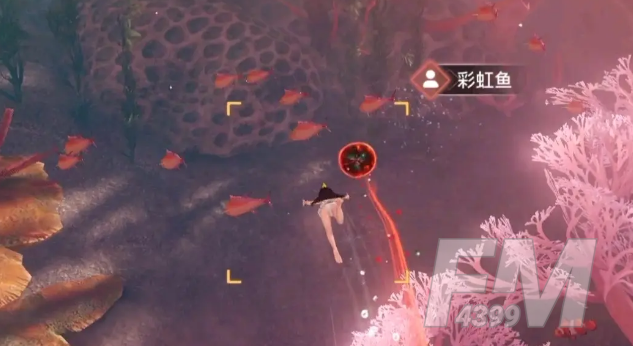 天谕手游汐愿之海鱼类都分布在哪里 海鱼类坐标图鉴