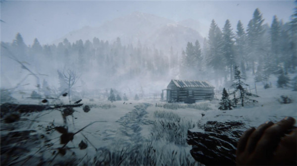 森林之子多少钱-steam森林之子价格一览