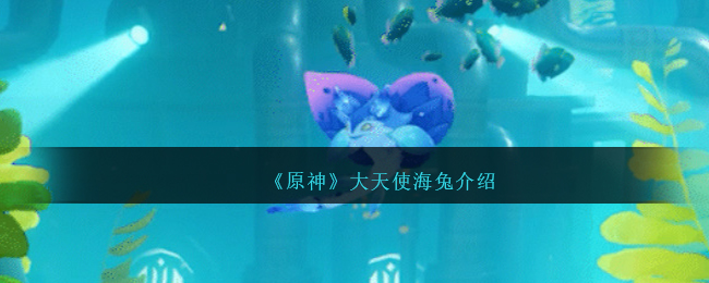 原神大天使海兔怎么样-原神大天使海兔介绍