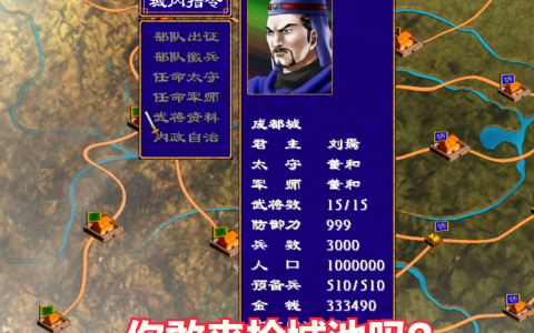 《三国群英传2》敌方城池武将数量15，你是通过什么方法打下来的