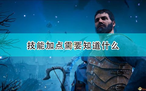 《国王的恩赐2》技能加点基础知识介绍