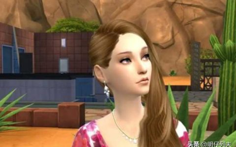 模拟人生里的职业收入，就是现实的写照