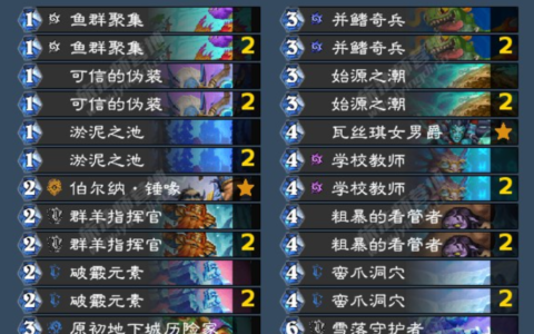 炉石传说：新版本快乐卡组分享：进化萨