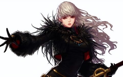 DNF：110版本韩服各职业前5名装备搭配-女鬼剑篇