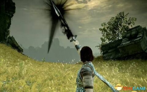 旺达与巨像攻略（隐藏武器Dormin获取攻略）