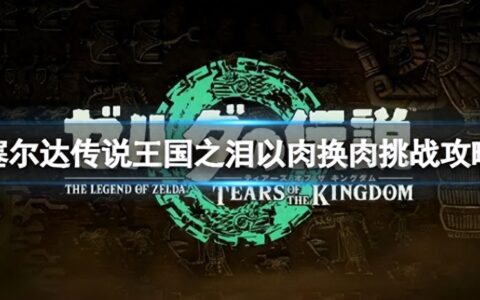 《塞尔达传说王国之泪》以肉换肉挑战攻略