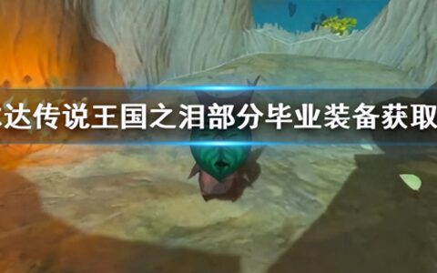 《塞尔达传说王国之泪》部分毕业装备获取方法