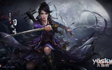 九阳神功凌音仙子司徒晴实战与经脉攻略前瞻