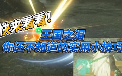 王国之泪：你可能还不知道的超实用小技巧及冷知识汇总