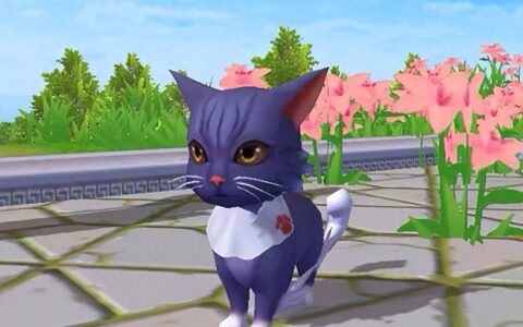 创造与魔法贝雅新猫获得攻略