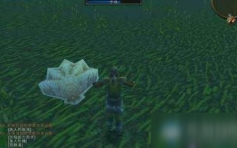 《魔兽世界怀旧服》诅咒之地攻略 BUFF位置分享