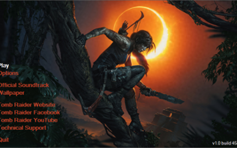 古墓丽影设置中文