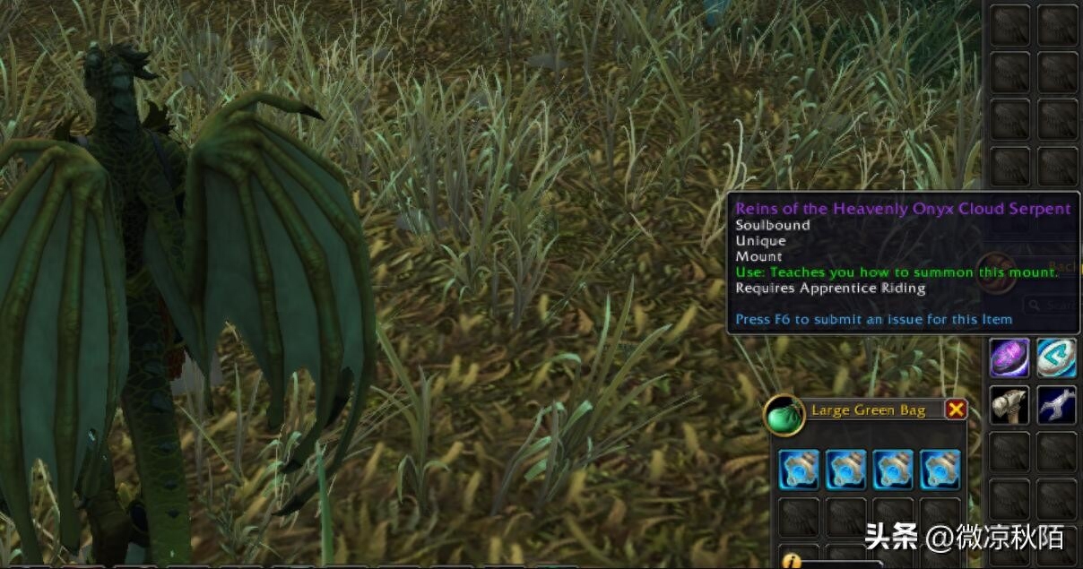 魔兽世界：10.0“怒之煞”掉落提高，玛瑙龙也将成为普通坐骑