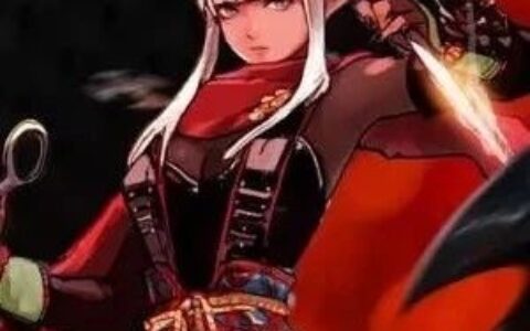 一套也能秒罗什？你所不知道的DNF忍者攻略！