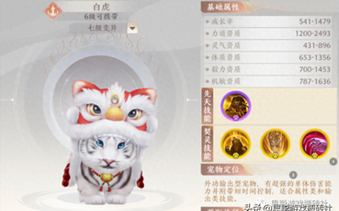 天龙八部2飞龙在天手游：宠物攻略