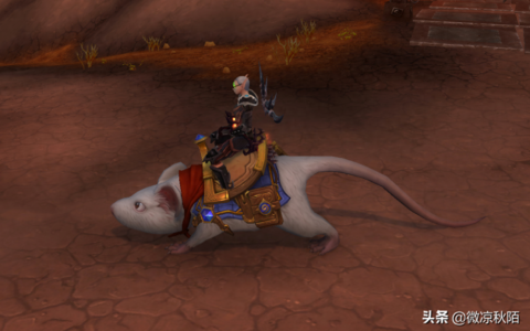 魔兽世界：“萨齐”坐骑解锁攻略，10分钟可以拿到新的老鼠坐骑