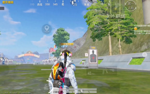 和平精英：掌握正确的灵敏度设置，提高镜头稳定性