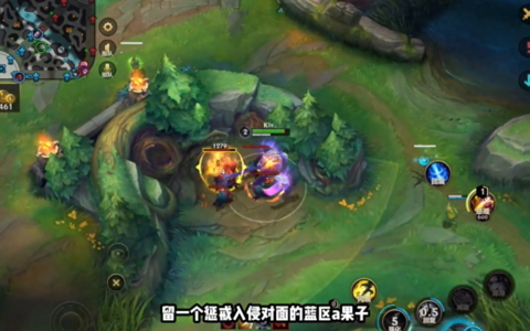 为什么你的狮子狗总是无法上分？